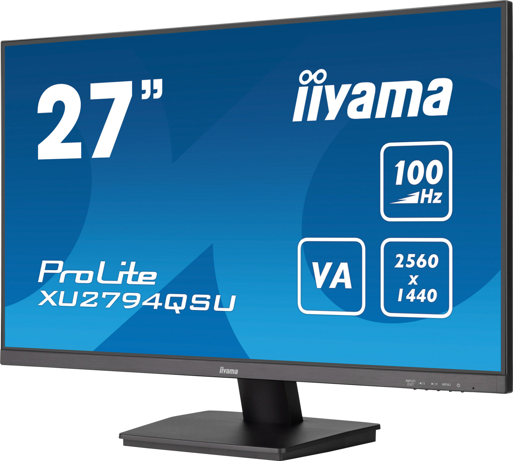 Acquista Monitor Iiyama