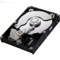Disco rigido SATA da 320 GB da 3,5 pollici