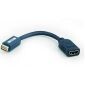 Cavo adattatore Mini DVI maschio a HDMI femmina