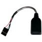 USB 2.0 AF a 5 pin interno, 15 cm