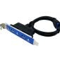 Staffa USB 3.0 a 2 porte, 20 pin (con un pin vuoto)