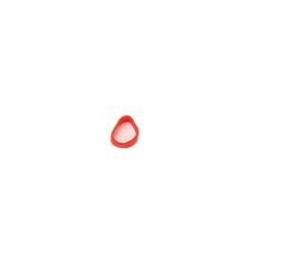 10 * elastico