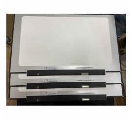 Pannello da 17,3" HD+ LED opaco EDP a 30 pin, senza staffe