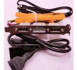 Staffa Dual-ESATA con Molex, da SATA a ESATA